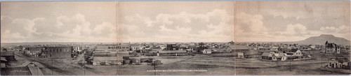 Tucumcari new mexico bird s - tucumcari,,